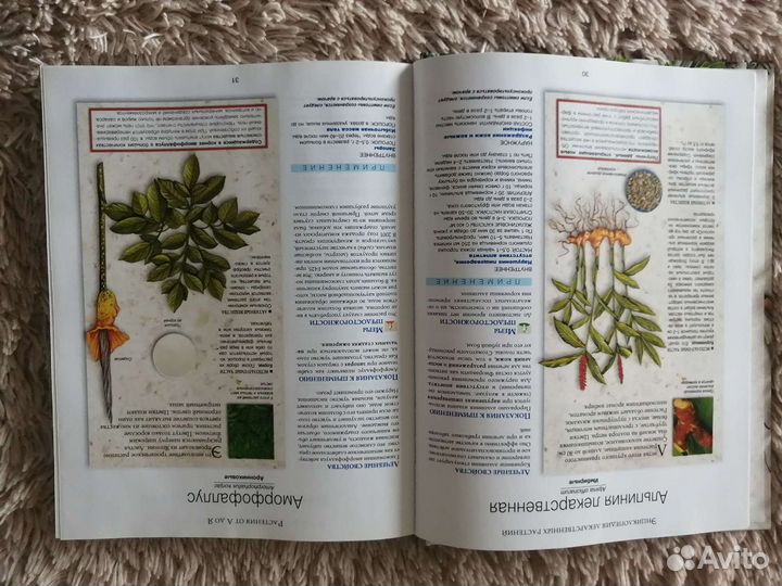 Энциклопедия лекарственных растений Ридер Дайджест