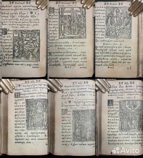 Месяцеслов. 1737 год