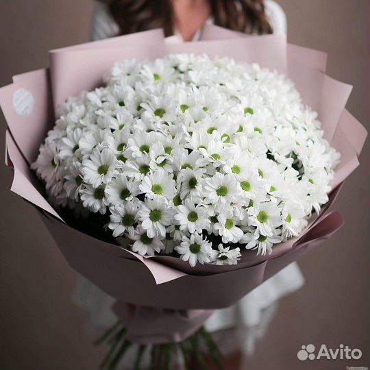 Хризантема. Цветы. Доставка
