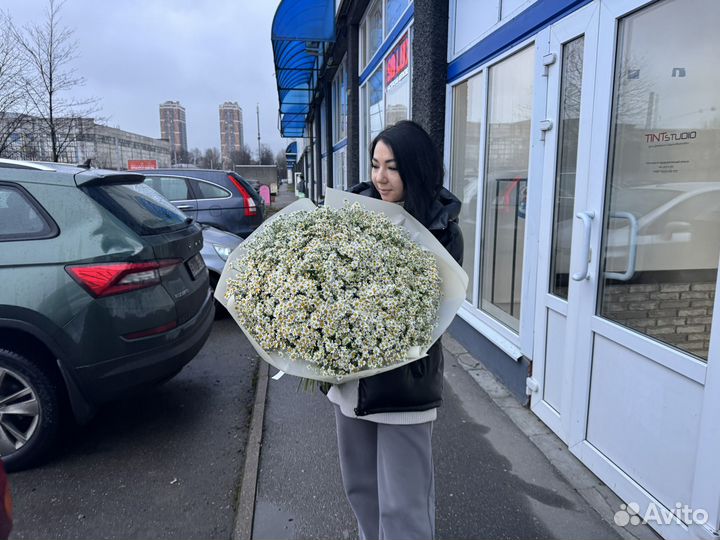 Полевой букет из ромашек 25,51,75,101 шт доставка