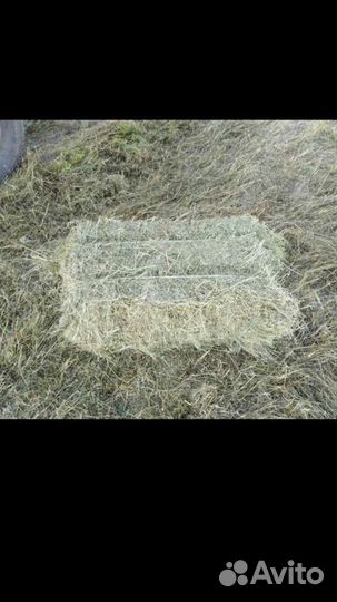 Сено в тюках