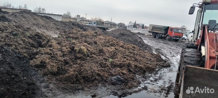 Навоз с доставкой