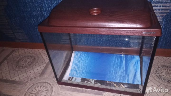 Аквариум