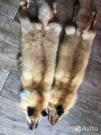 Шкура рыжей лисы