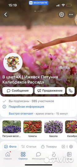 Бегония