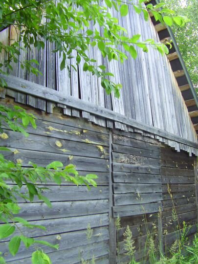 Дача 49 м² на участке 16 сот.