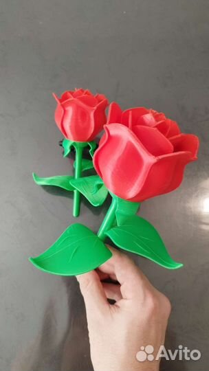 Муравьиная ферма новая 3д печпть