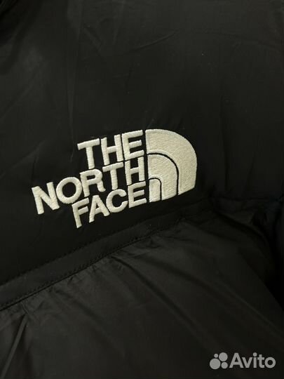 Пуховик tnf 700