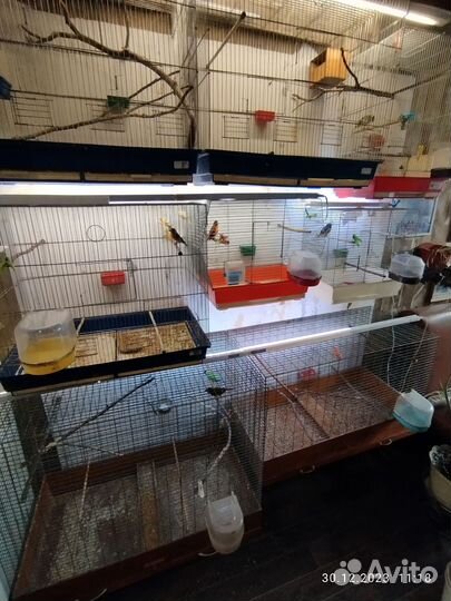 Клетки для птиц