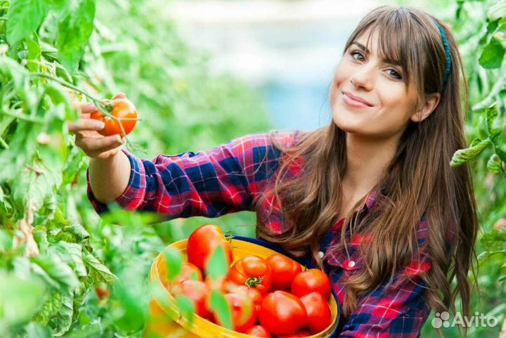 Разнорабочий. Ежедневные выплаты