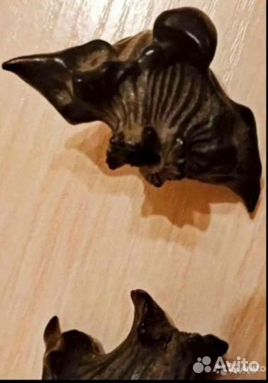 Чилим, чертик, водный орех