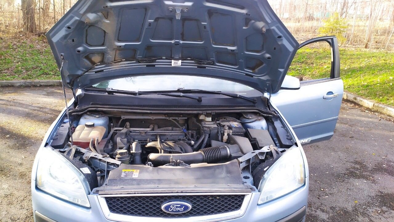 Ford Focus: фото владельца