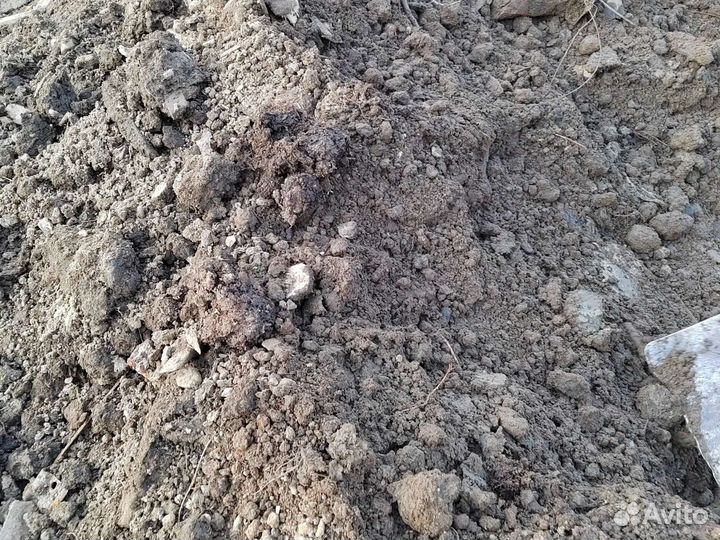 Земля чернозем