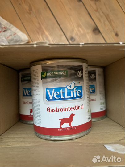 Корм для собак