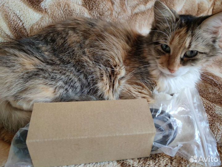 DVI Кабель для компьютера