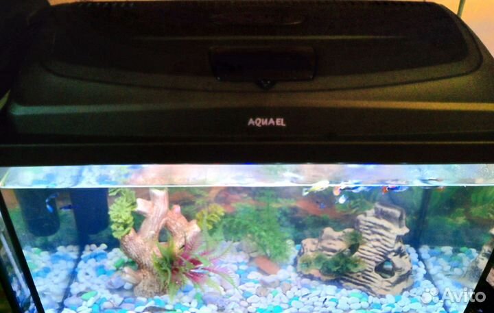 Аквариум с рыбками и освещением