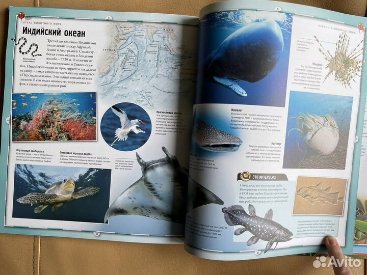 Книга Animal Planet Атлас животного мира