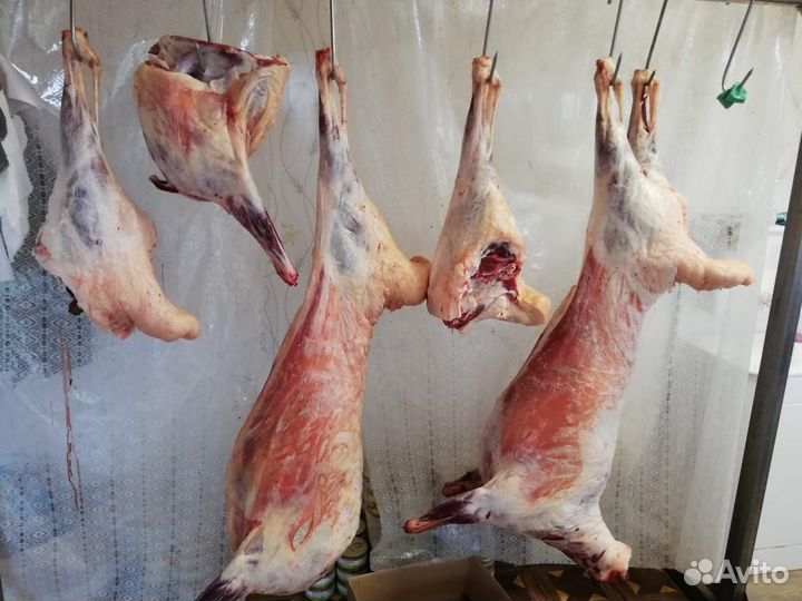 Мясо баранина