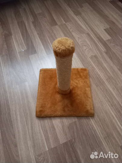 Когтеточка