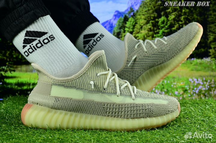 Легкие и стильные: Adidas Yeezy 350