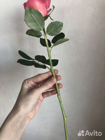 Розы из холодного фарфора