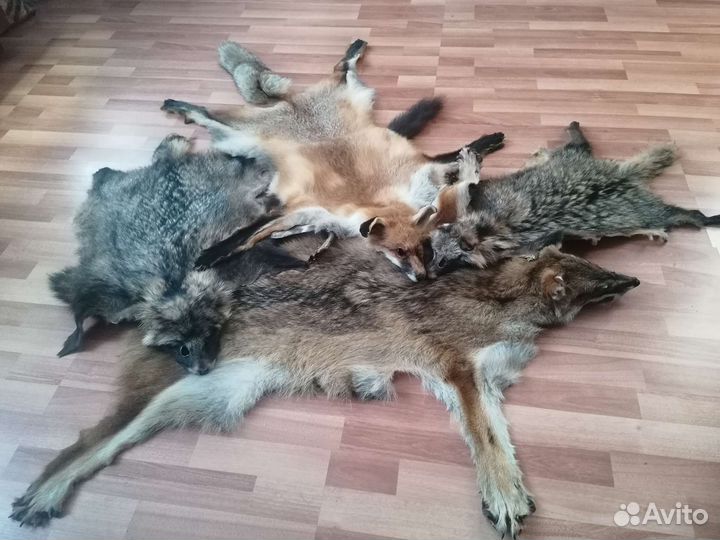 Выделка шкур