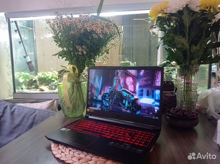 Игровой ноутбук Acer Nitro 5 и Lenovo