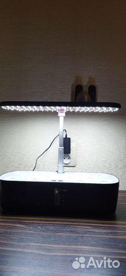 Умный сад hydroponic system SMART garden