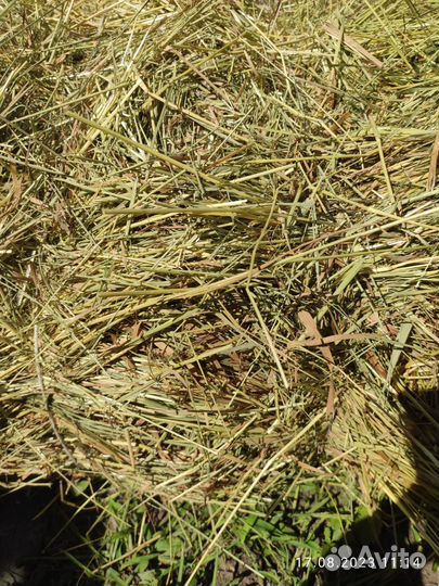 Сено луговое в тюках