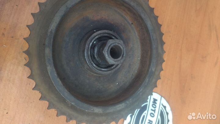 Задняя звезда ковровец