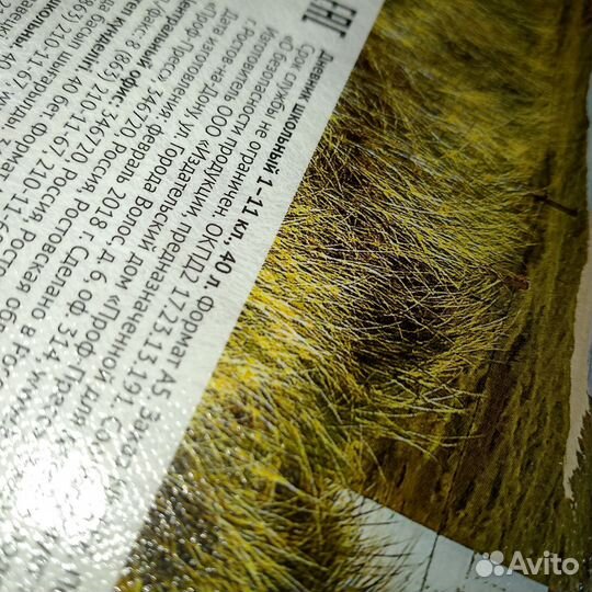 Дневник школьный 1-11 класс