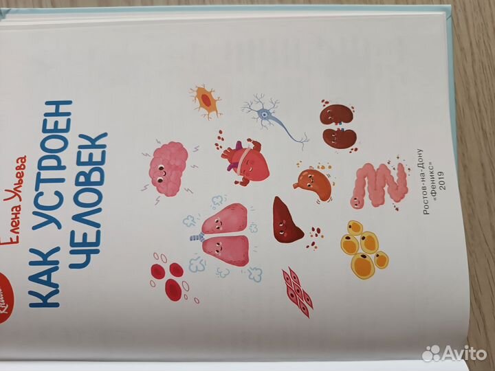 Елена Ульева Как устроен человек
