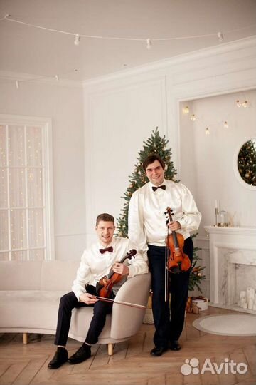 Дуэт скрипачей