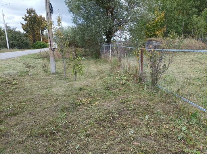 Участок 38 сот. (ИЖС)