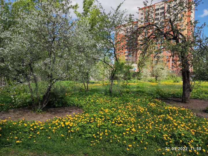 Участок 20 сот. (ИЖС)