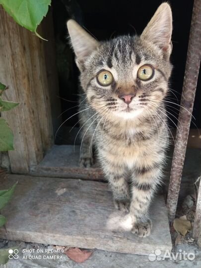 Девочке очень нужен дом