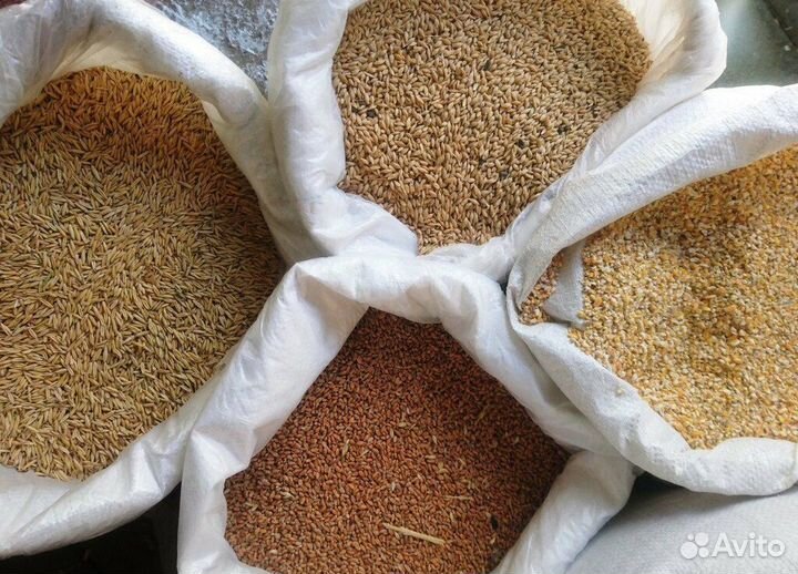 Комбикорм для всех животных