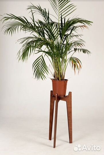 Подставка для цветы Wiki