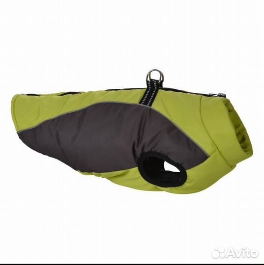 Одежда для средних собак