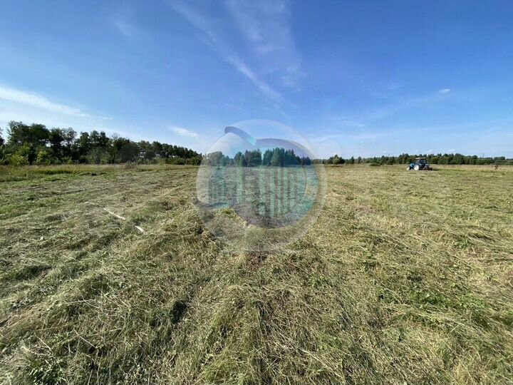 Участок 2,45 га (промназначения)