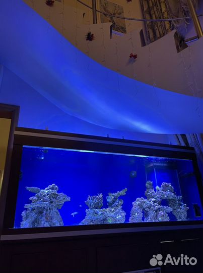 Свет для морского аквариума