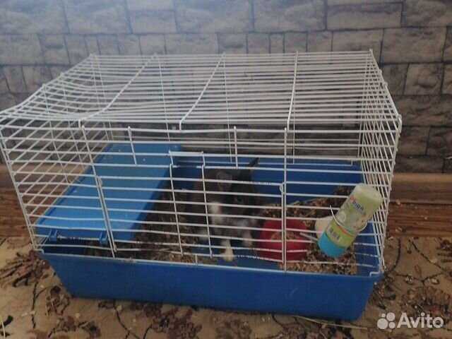 Клетка для грызунов большая