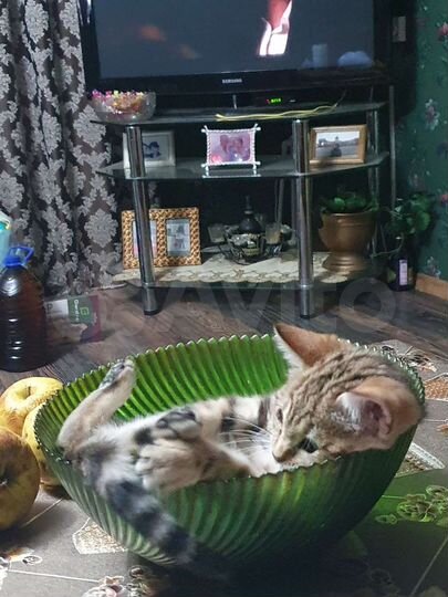 Дом 214 м² на участке 7,5 сот.