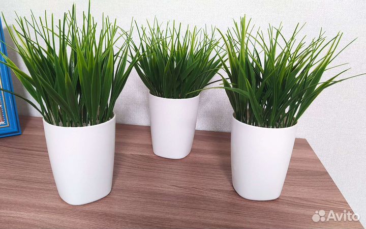 Искусственная трава/осока/озеленение