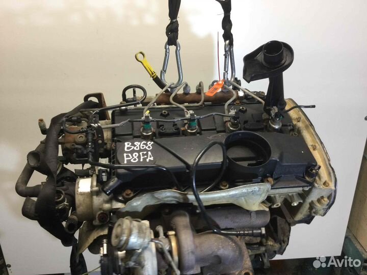 Двигатель Ford Transit 2007 P8fa 2.2