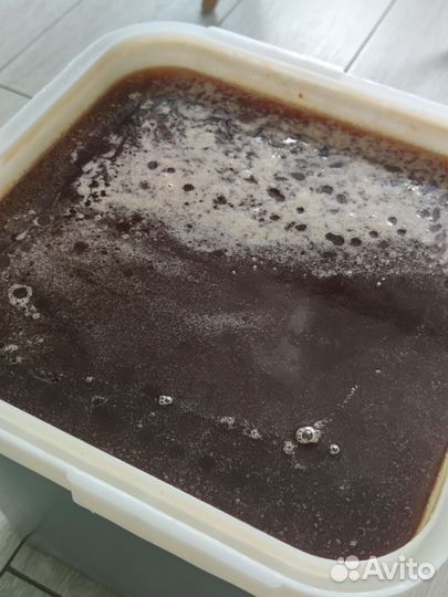 Мёд гречишный