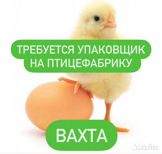 Разнорабочий на птицефабрику вахтой