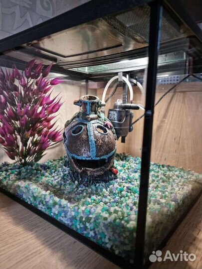 Аквариум