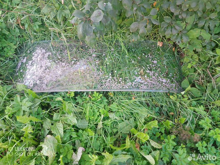 Двигатель газ 52