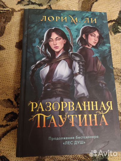 Разорванная паутина